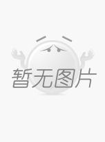 无油/复合旋片真空泵